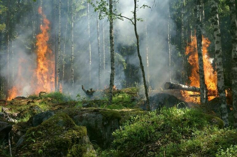 В Якутии тушат лесные пожары на площади более 20 тыс га