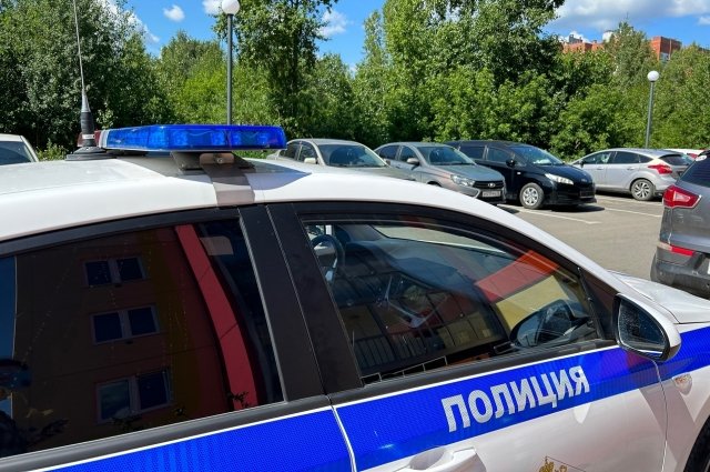 Мужчину, ударившего девушку на пробежке в Подмосковье, заключили под стражу