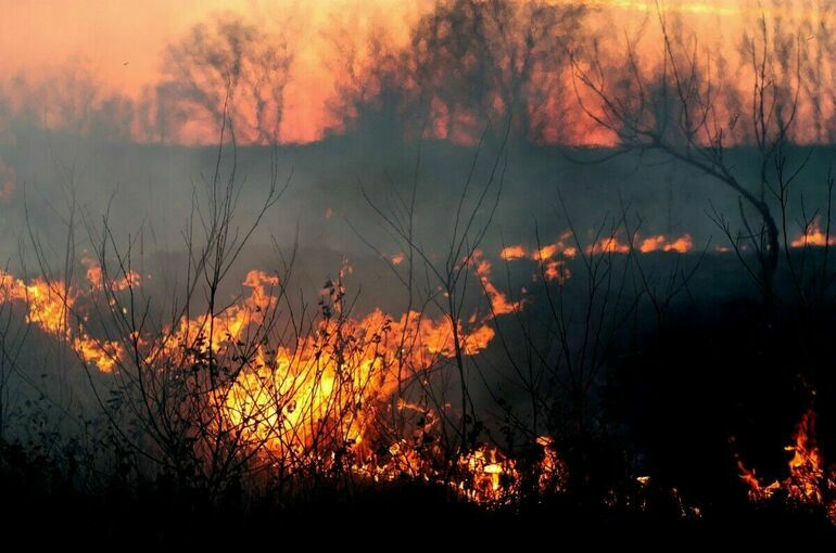 Лес в Геленджике загорелся из-за нарушений правил пожарной безопасности