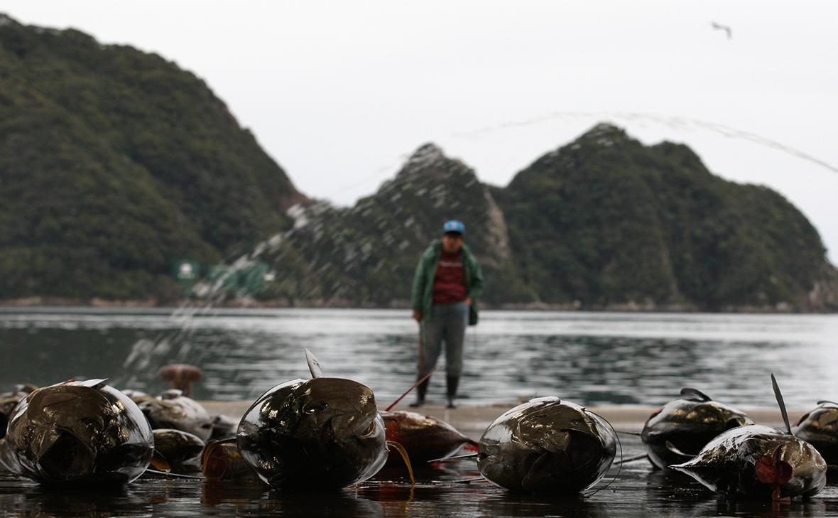 Япония не смогла договориться с Россией о ловле рыбы у Южных Курил