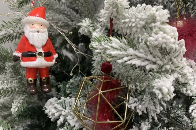 В Приморье трое подростков украли новогодние игрушки с сельской елки
