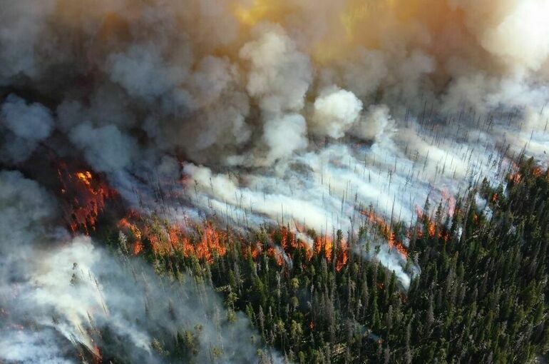 Полномочия регионов по тушению природных пожаров предлагают расширить